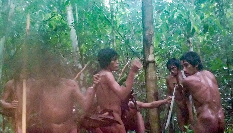 Automatic cameras reveal uncontacted community in the Amazon