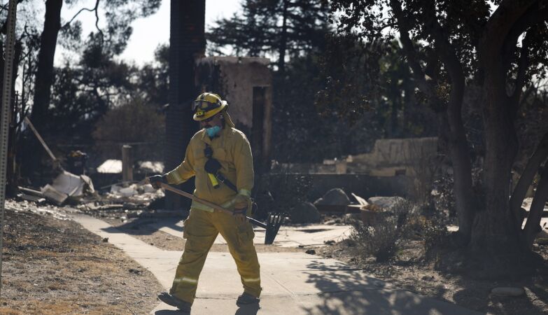 “The houses burned, the trees didn’t.” Climate change is not a “scapegoat” for the LA fires