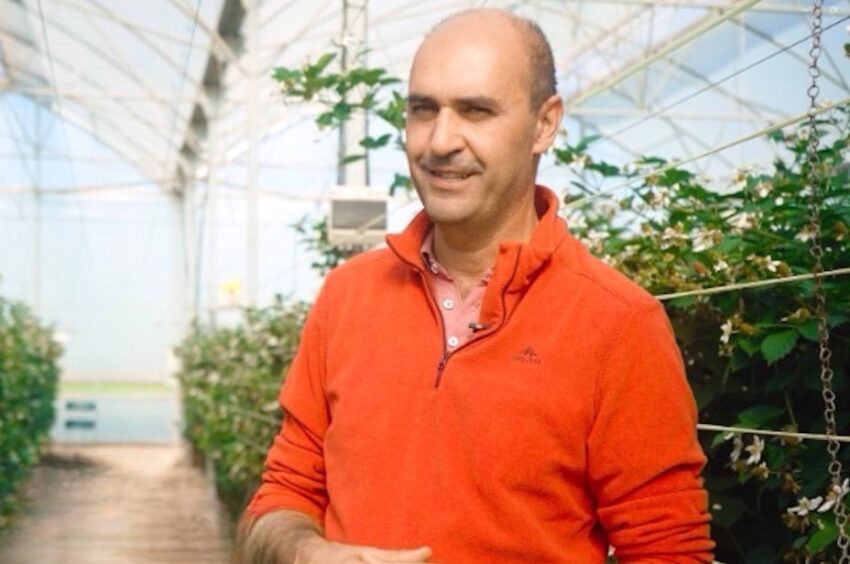 SR Berry stands out in the Algarve as a reference in sustainable agriculture [vídeo]