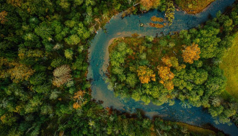 Why does the Amazon River flow backwards?