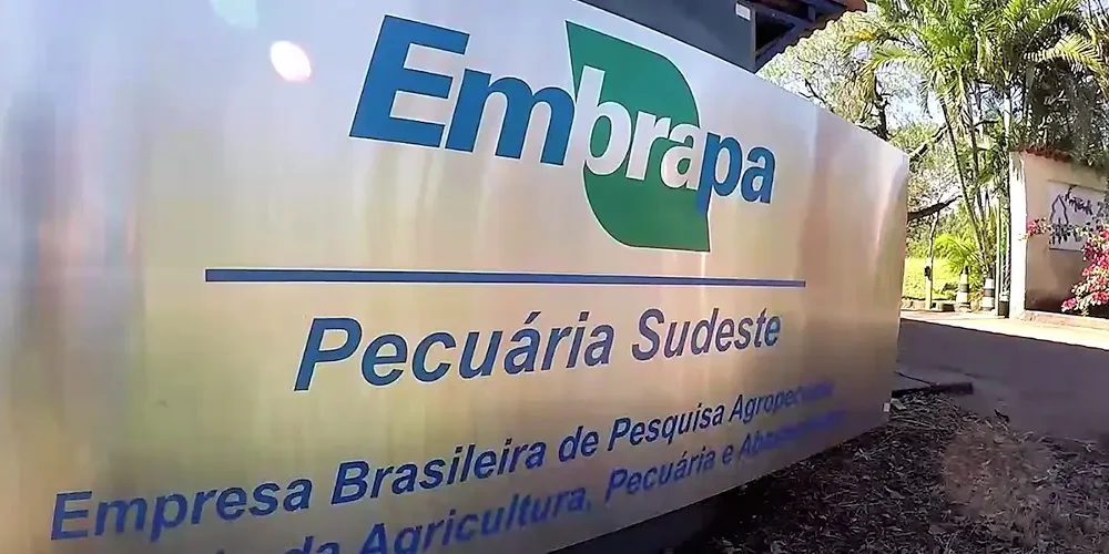 With a salary of up to R$12,800, Embrapa extends the deadline for registering for the competition until Friday