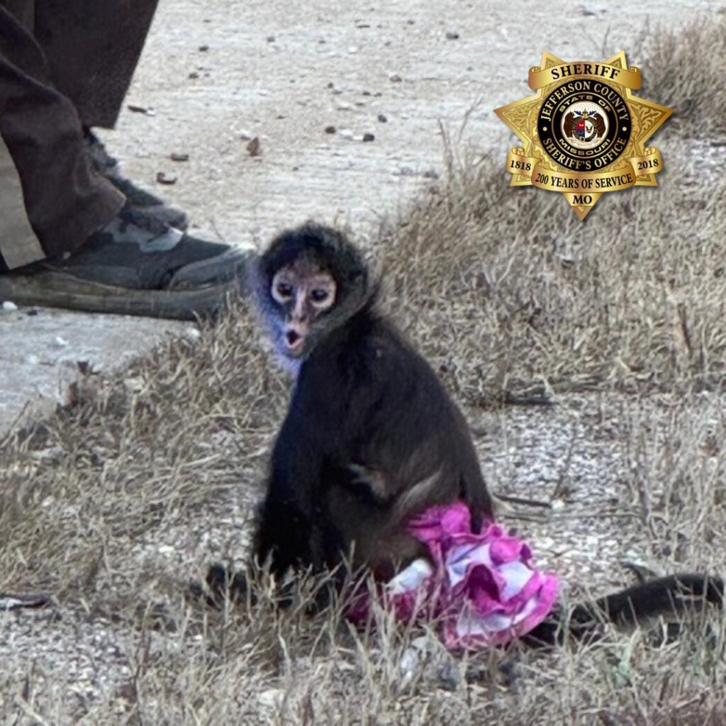 Police are involved in a rescue operation for a “naked individual monkeying around”