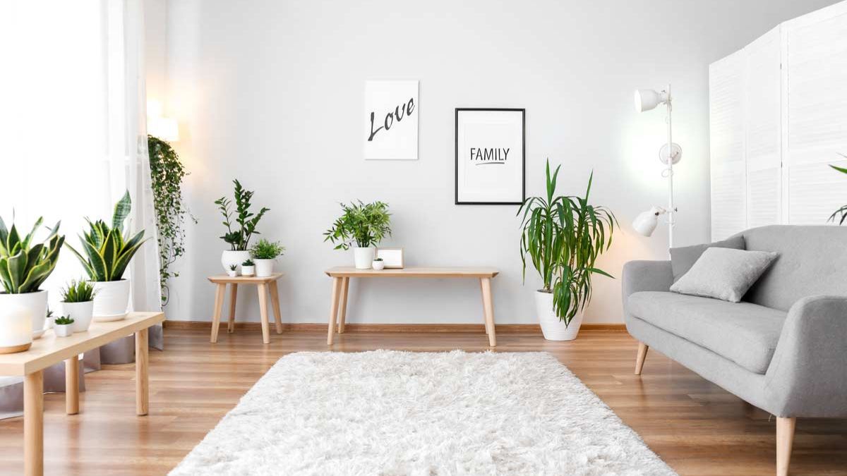 Living room furnished with plants