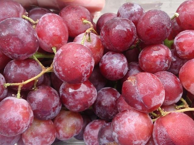 Benefits of Grapes: Health Benefits and Potential Dangers