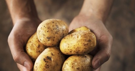 An anchor can be a great substitute for potatoes