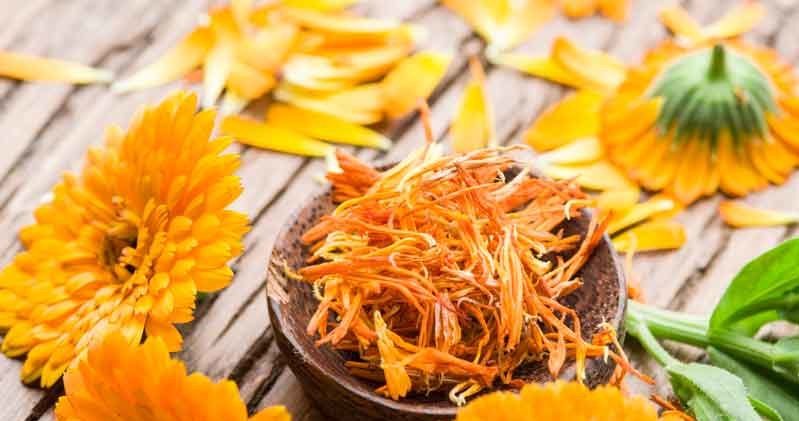 We will prepare marigold oil from marigolds /123RF /PICSEL