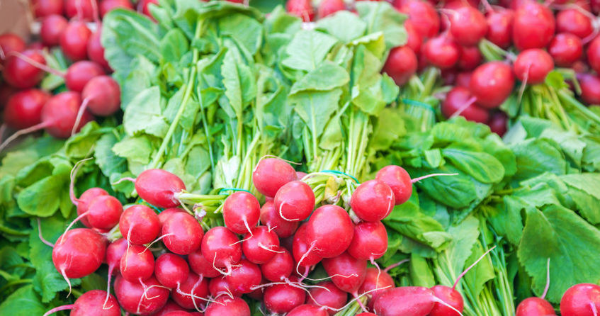 From radish we can prepare a valuable fertilizer for fuchsia /123RF /PICSEL