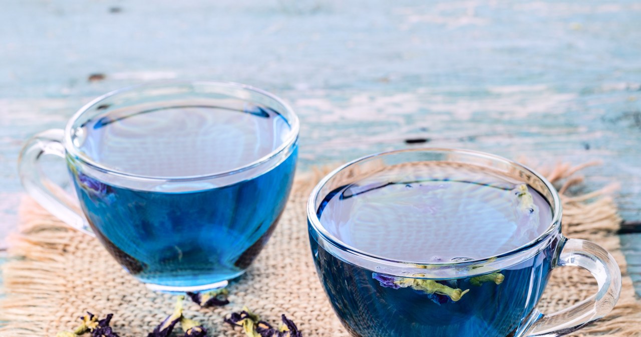 Blue tea made of ternary cliple flowers improves the concentration and proper functioning of the brain. /123RF/PICSEL