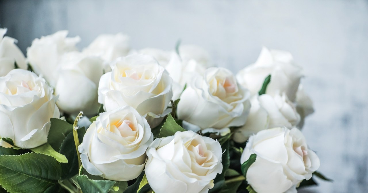 White roses are not a good choice for Valentine's Day