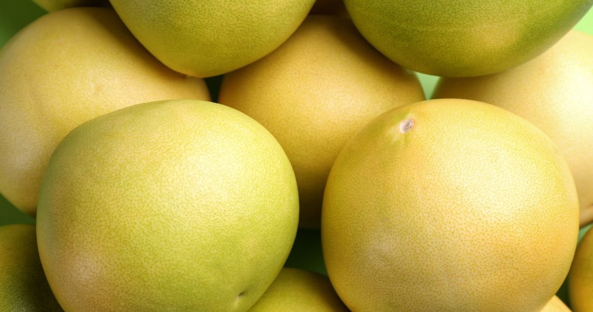 
                    "Fruit of happiness" for seniors and diabetics. Cleans the body of toxins, great for circulation                
