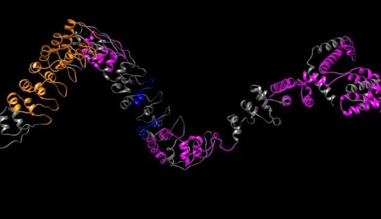 Scientists use IA to create bright protein and simulate 500 million years of evolution