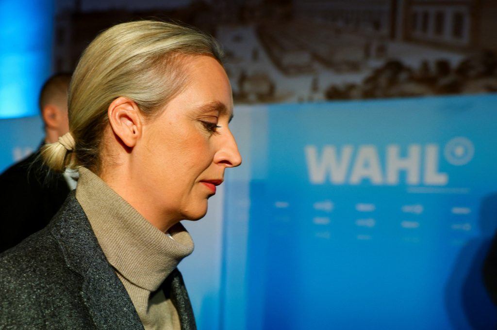 German elections: Citizens ask 4 candidates - what Videl said about her immigrant partner