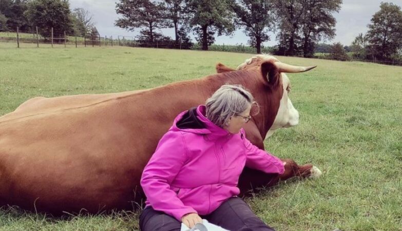 The story of the linguist who is learning to “speak cow”