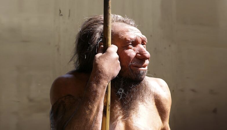 The origin of the Neanderthals is not what we thought (and the secret is in the ears)