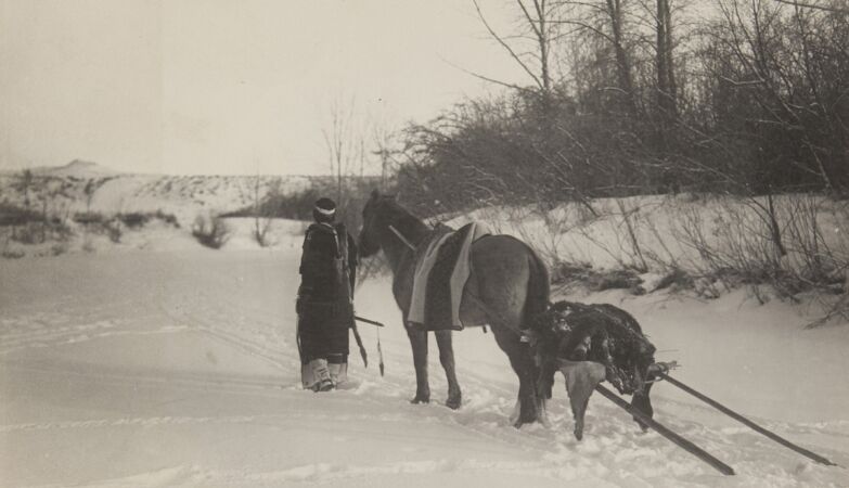 Native Americans used hand carts… 16,000 years before the invention of the wheel