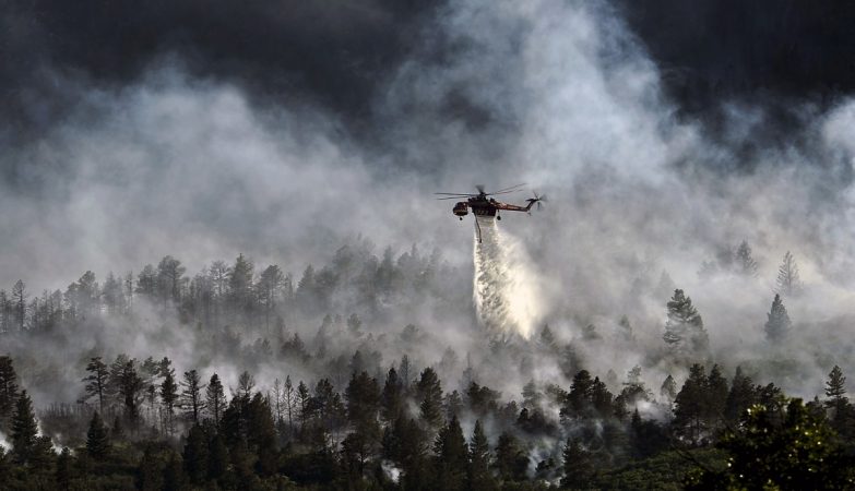 North America is having fewer forest fires - and this is a big problem