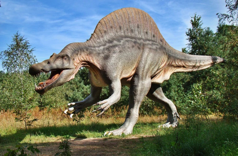 A new study of dinosaurs: What scientists have revealed