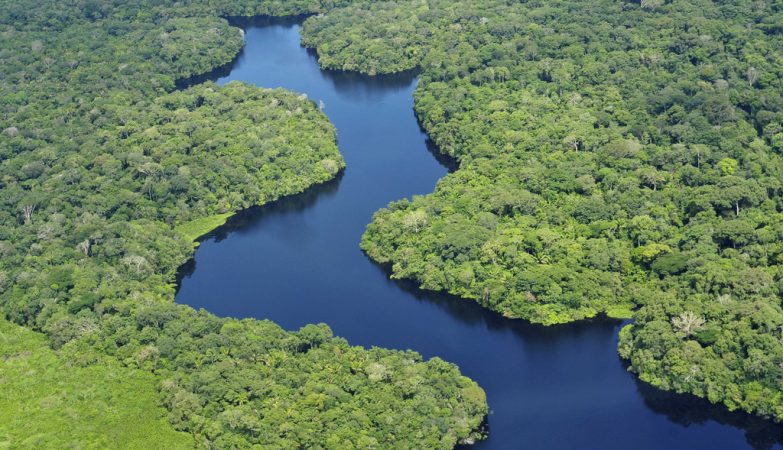 The imminent collapse of the Atlantic currents can save the Amazon
