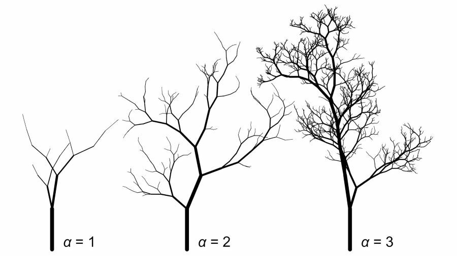 From Vinci was right. Discovered the mathematical secret of trees art