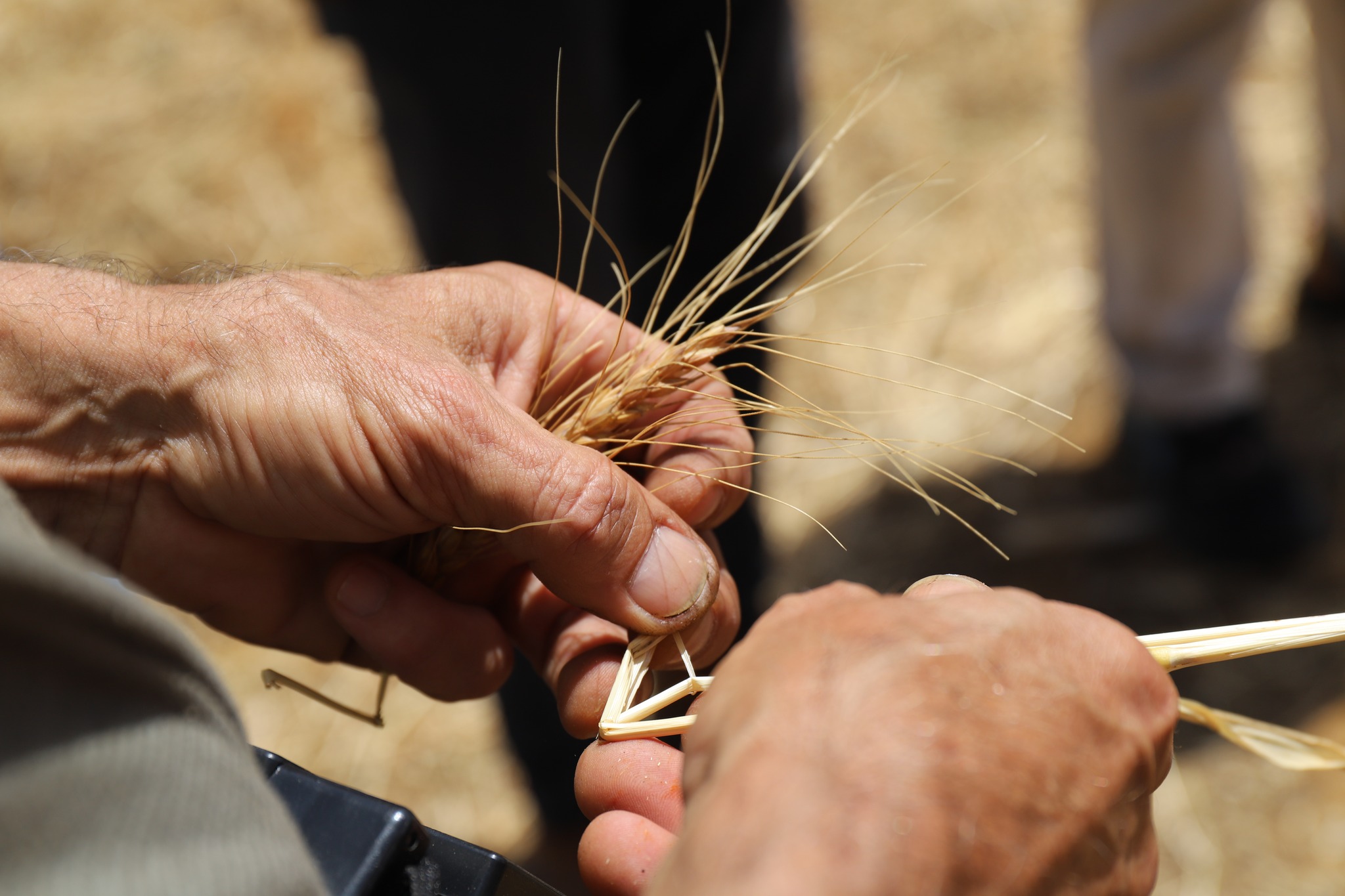 Al-Bio strengthens local food network with free events in Tavira