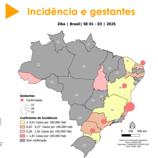 Alert! Acre is among the Brazilian states with the highest incidence of Zika in 2025