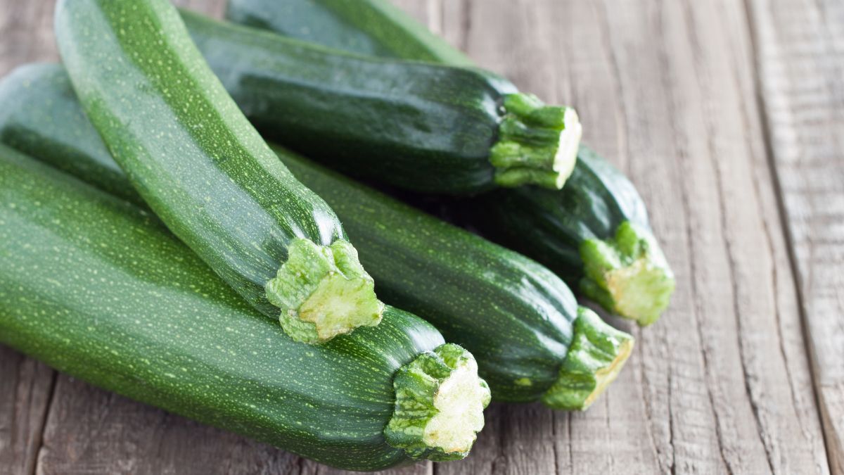 How to cultivate zucchini