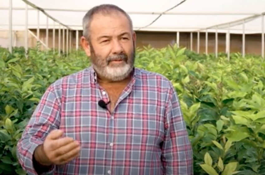 'Thousand Plants' is a success case in the production of fruit trees in the Algarve [vídeo]