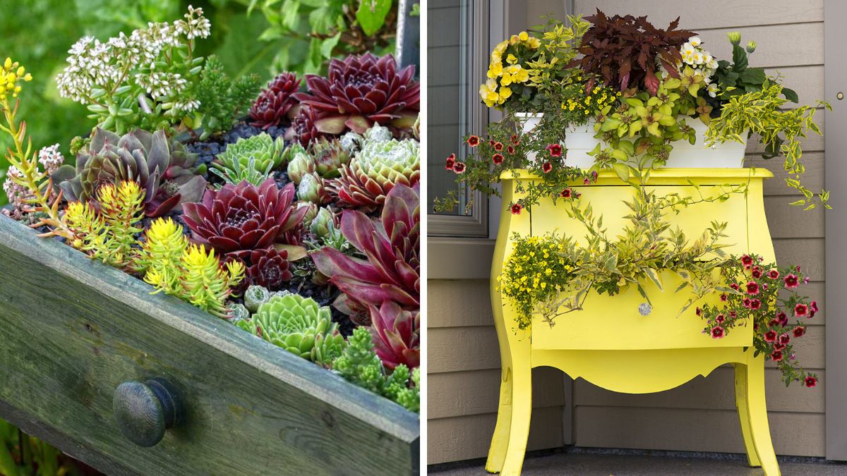 Old furniture recycled as a planter