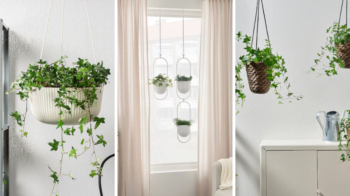 Green corner with suspended planters