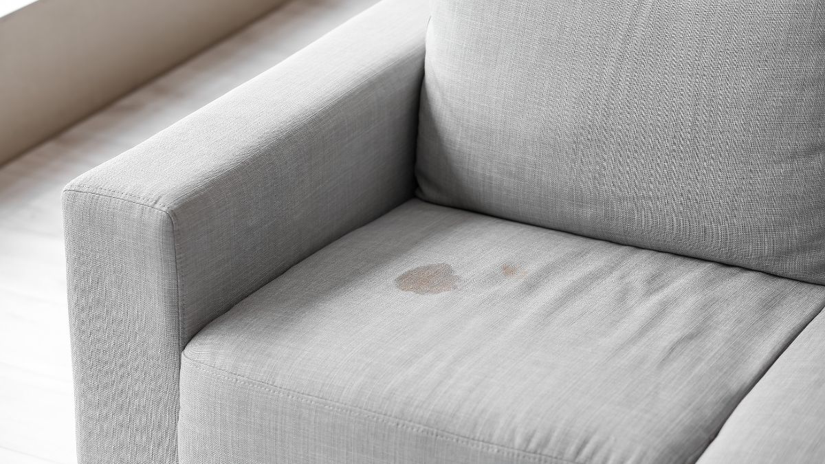 How to clean the sofa