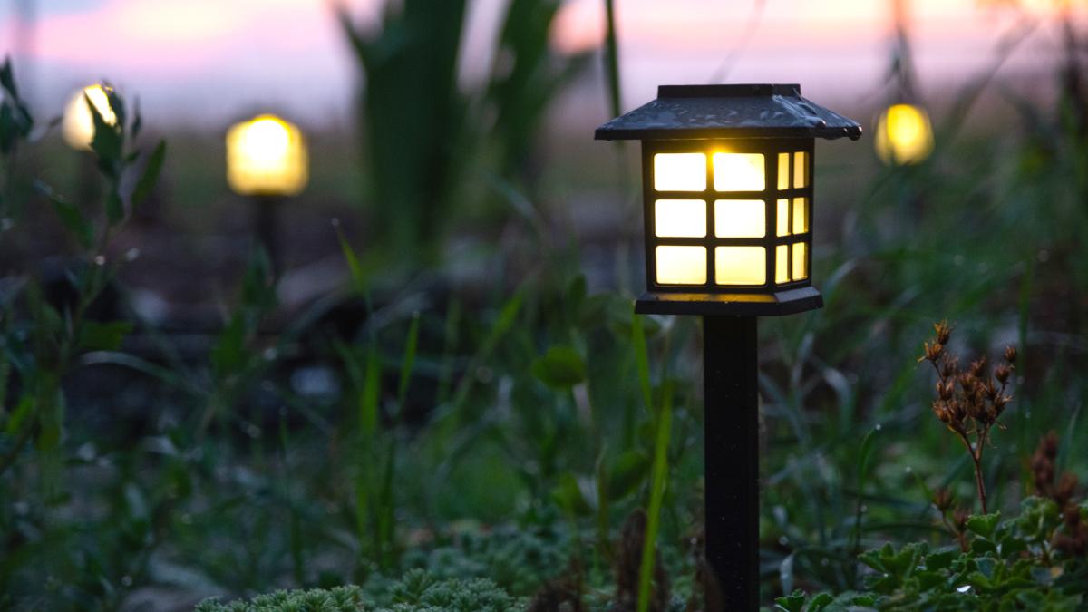 Illuminated flowerbed