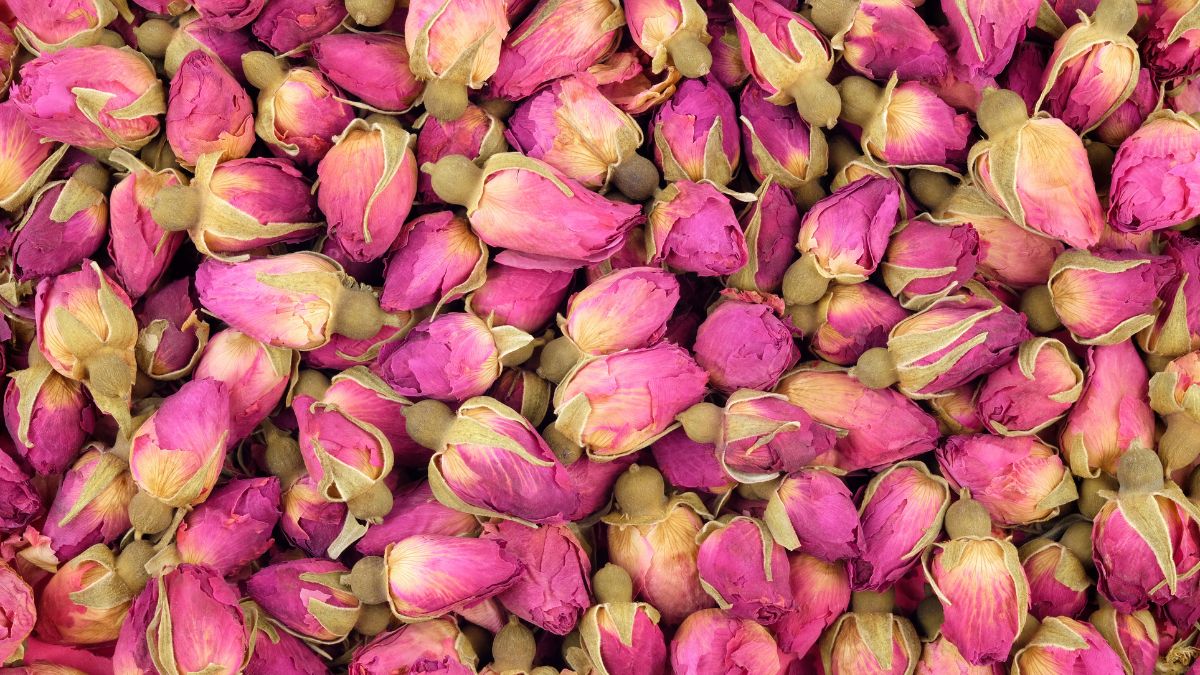 How to dry the roses