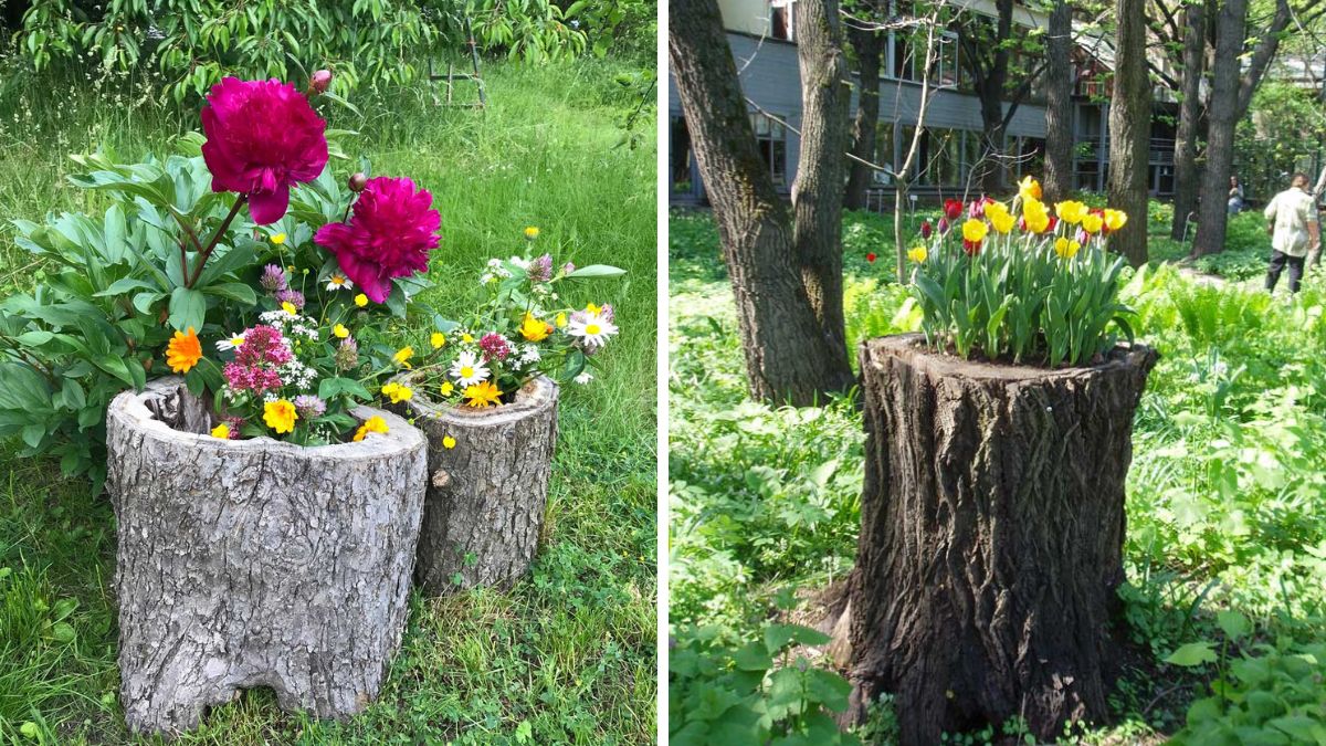 Fiorier garden with tree trunks