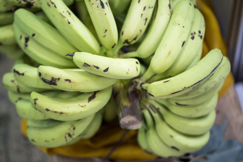 Green bananas