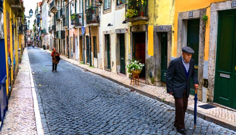 Continues to smell the olive in Lisbon. The guilt of the bagasse