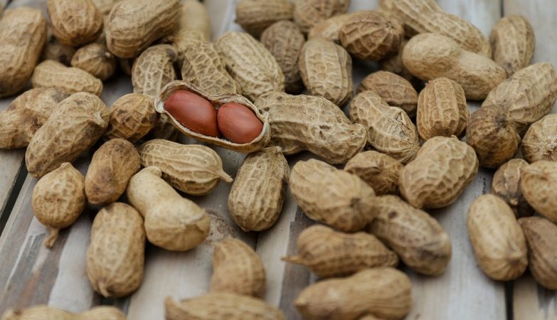 New study reveals surprising treatment for allergies to peanuts