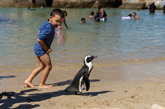 Before you die you have to go to these 10 beaches with unique "extras". Two are Portuguese