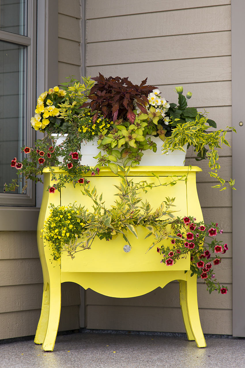 Old chest of drawers painted yellow becomes an outdoor flock