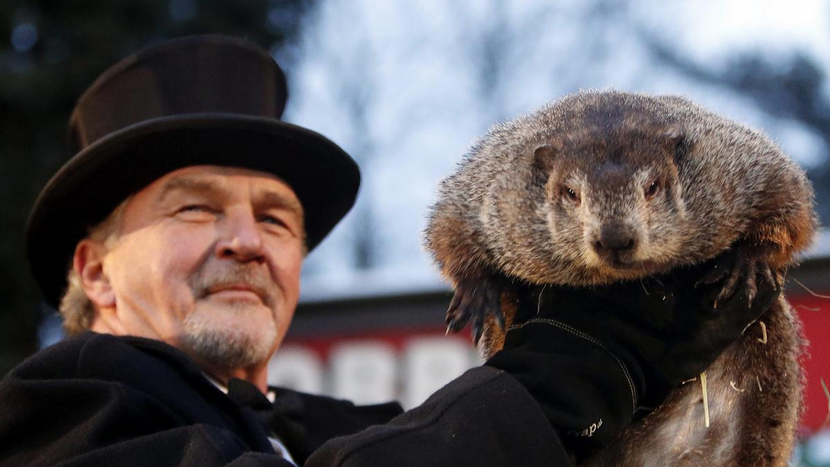 Marmot Day: Phil predicts that winter will be longer than expected