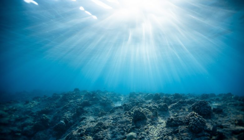 The ocean is losing its ability to retain heat as the planet warms