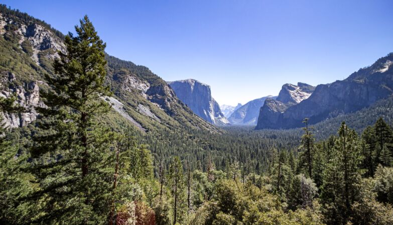 The land crust is off in California