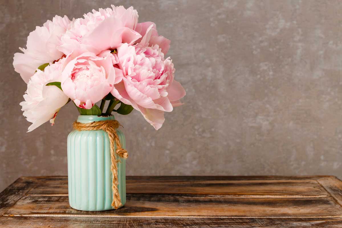 Shabby chic pastel blue vessel with peonias.