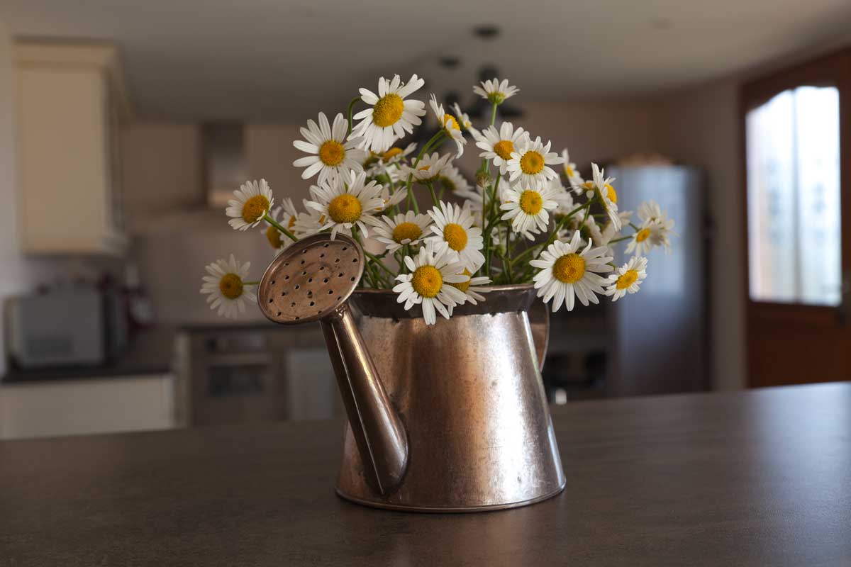 Shabby Chic -style margherite vase.