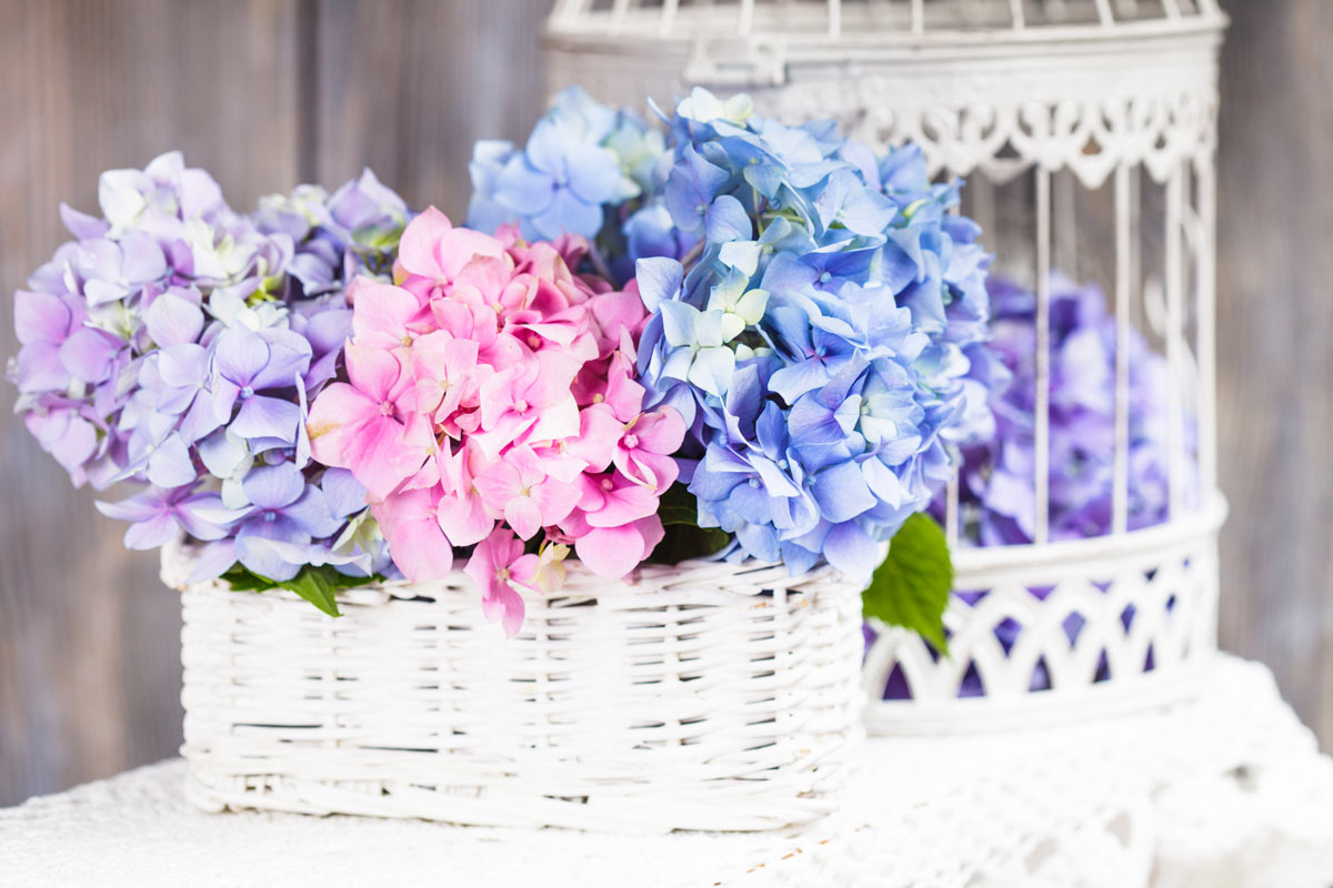 Decorate with a nice vase of hydrangeas.