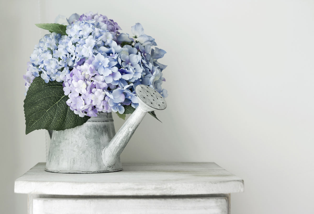 Decorate with a nice vase of hydrangeas.