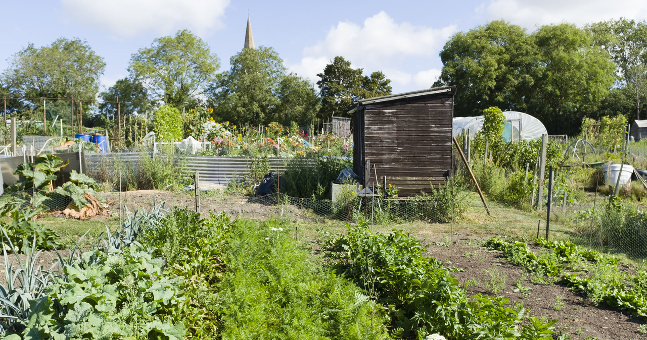 The statute of allotment gardens /123RF /PICSEL has changed