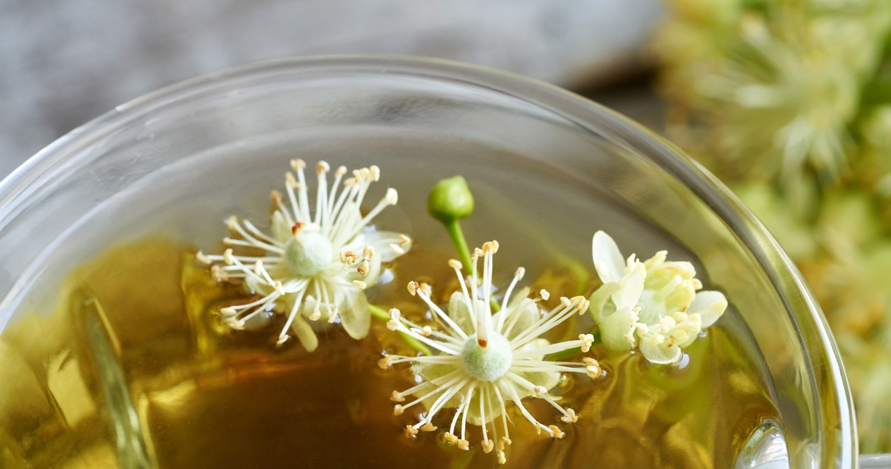 The Poles drank regularly before tea appeared. Grandmothers treated this cold and indigestion