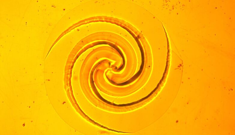 Physicians discover mysterious spiral patterns on solid surfaces