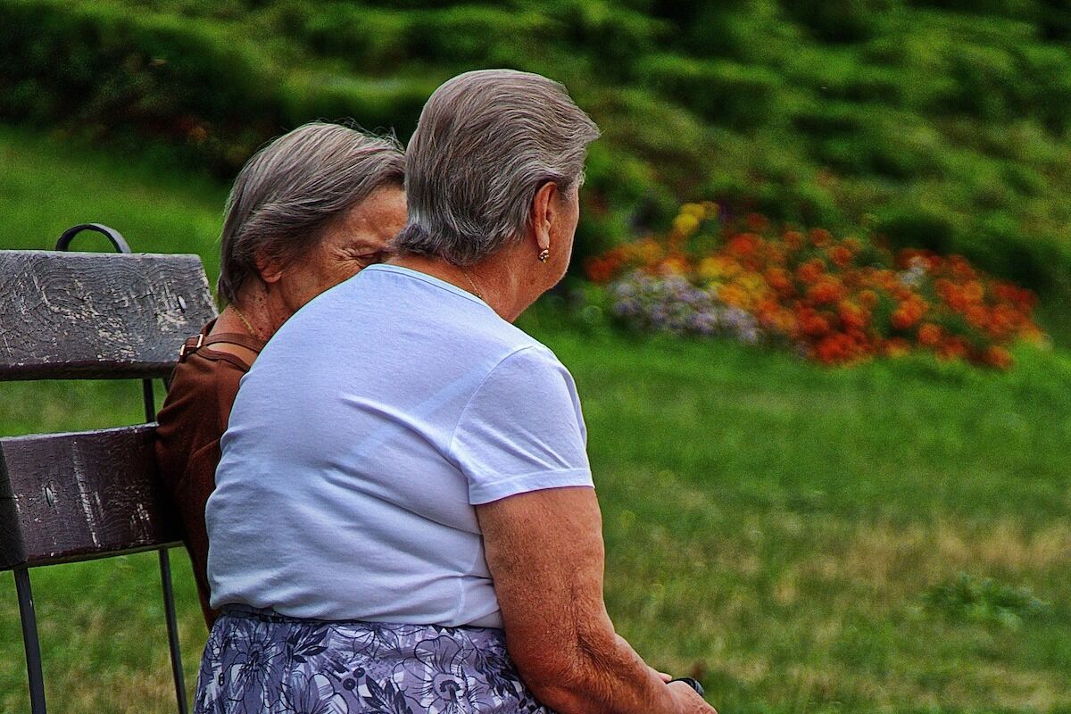 It is a game: pioneering study on social memory in the elderly has a revolutionary task