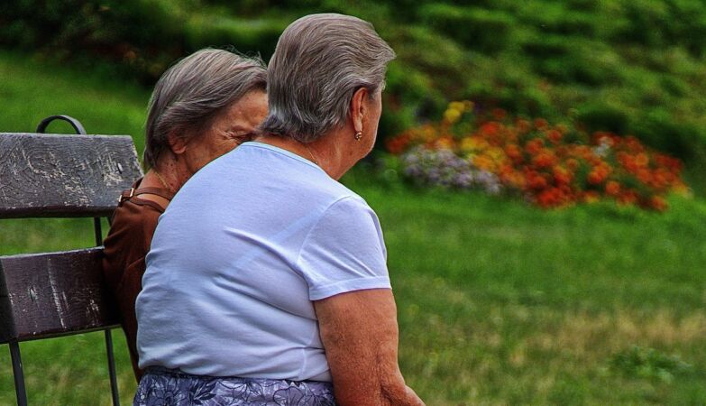 It is a game: pioneering study on social memory in the elderly has a revolutionary task
